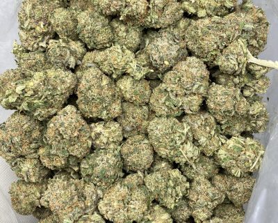 BLUEBERRY DEATH GAS (EXOTIC GAS) - Image 5